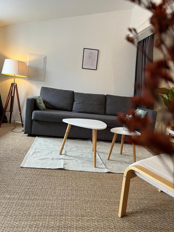 Loft Cosy - Centre Historique Climatise Apartment Revel  Bagian luar foto